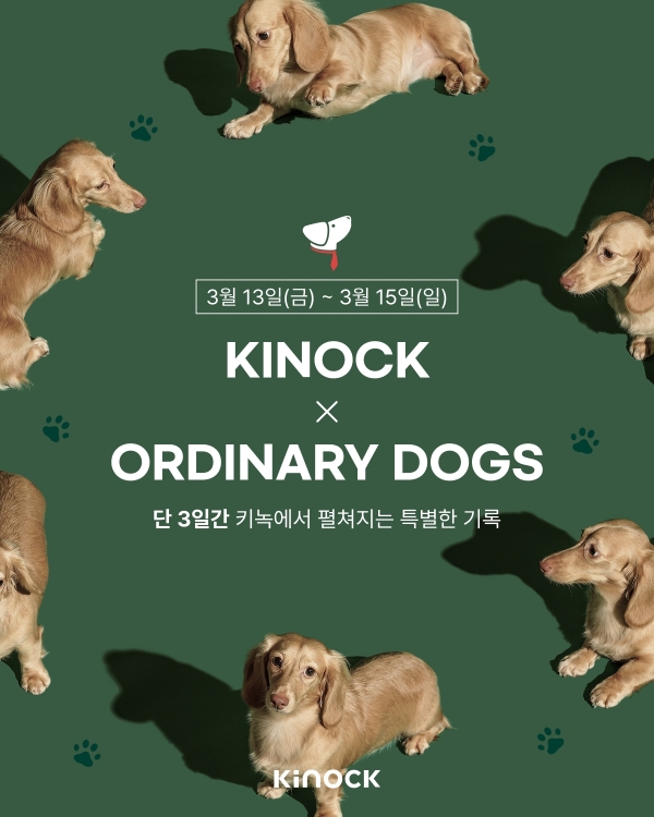 ▲ 키녹, 반려동물 프로필 촬영 이벤트 이미지ⓒ교원그룹
