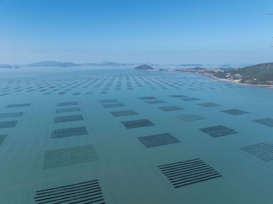 ▲ 김양식ⓒ전라남도 제공