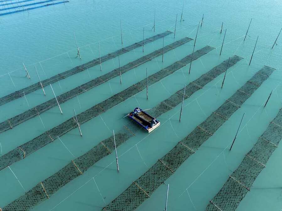 ▲ 김양식ⓒ전라남도 제공