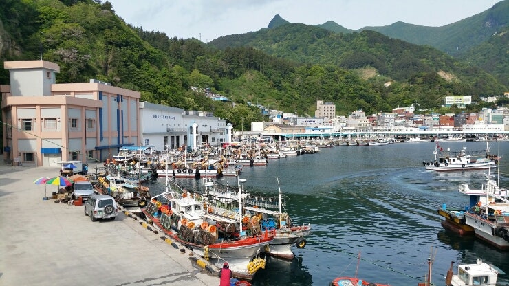 ▲ 경북 울릉군이 고갈되는 수산자원을 보호하고 어업 경쟁력을 확보하기 위해  연안어선 구조조정에 들어간다.ⓒ울릉군