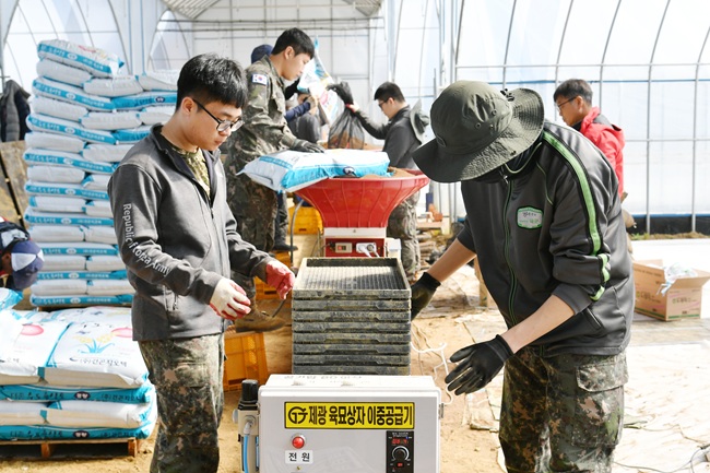 ▲ 지난해 3월, 상서면 육묘은행 못자리 설치 현장에서 군장병들이 고령 농업인을 위해 대민지원에 나서고 있다. ⓒ화천군