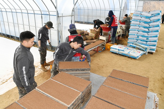 ▲ 지난해 3월, 상서면 육묘은행 못자리 설치 현장에서 군장병들이 고령 농업인을 위해 대민지원에 나서고 있다. ⓒ화천군