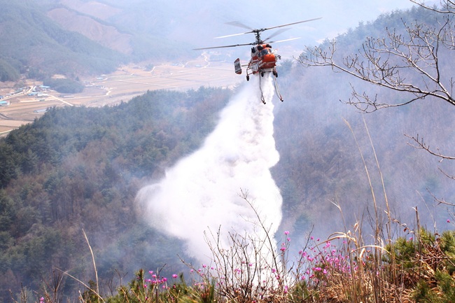 ▲ 진화중인 산림헬기 모습. ⓒ강릉산림항공관리소