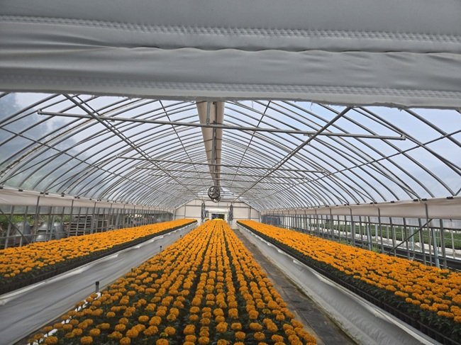 ▲ 화목원에서 키우고 있는 봄꽃. ⓒ동해시