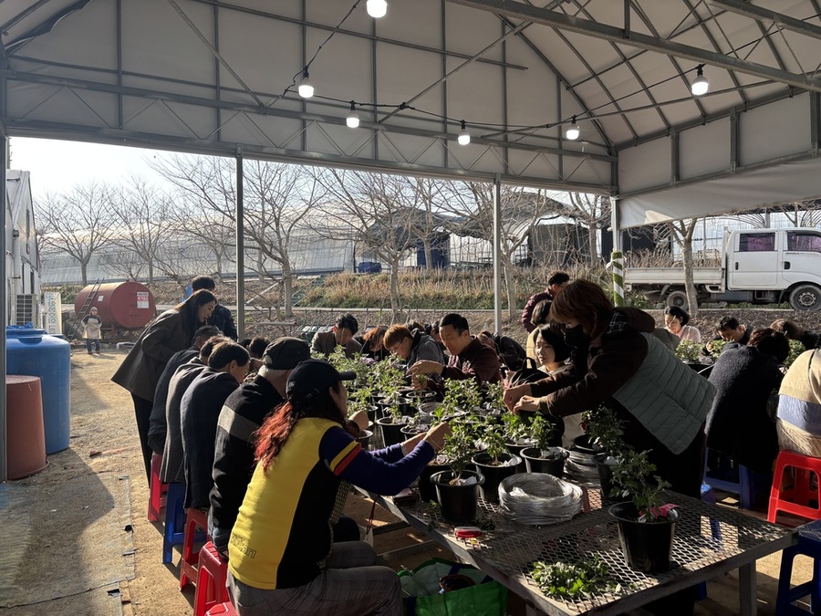 ▲ 제22기 대한민국 국화동호회 분재교육ⓒ함평군 제공
