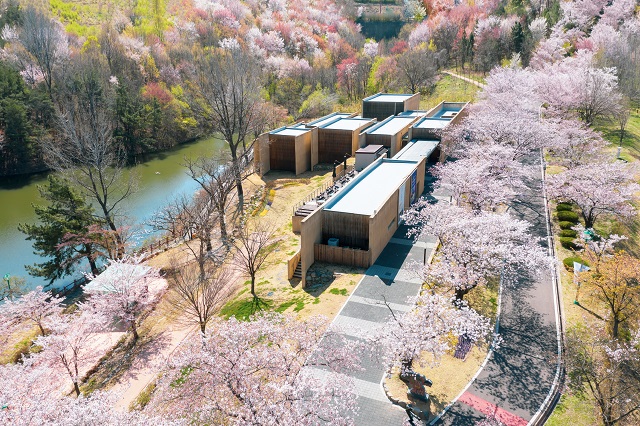 ▲ 경주솔거미술관 전경.ⓒ경북관광공사