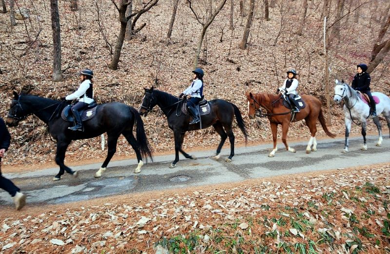▲ 전액 시비로 진행하는 공공형 승마 프로그램에 참여하고 있는 초등학생 모습.ⓒ아산시