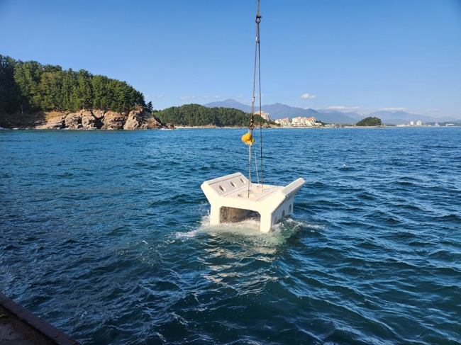 ▲ 문어 인공어초. ⓒ양양군