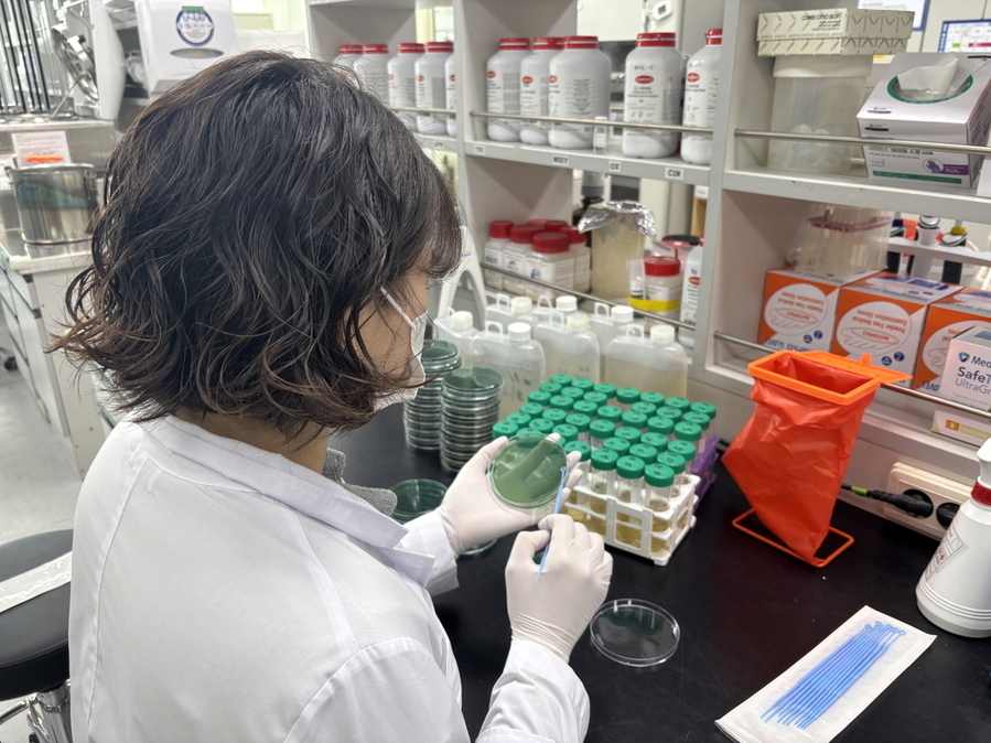 ▲ 비브리오패혈증균 검사ⓒ전라남도 제공