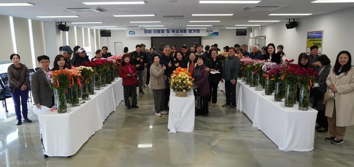 경기도농업기술원, '국산 장미' 70종 공개