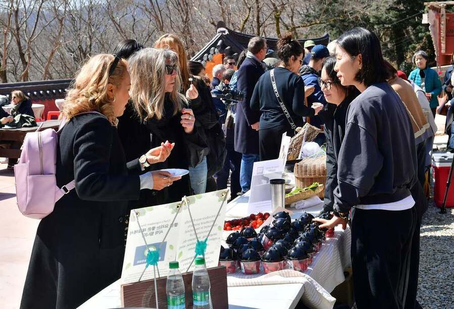 ▲ 친환경 농산물 부스를 찾은 프랑스 셰프들ⓒ장성군 제공