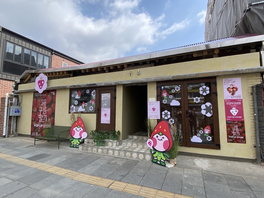 ▲ 고령딸기농촌융복합사업추진단은 20일부터 22일까지 3일간 서울 서촌의 주요 거점에서 대가야의 역사와 현대의 식문화를 잇는 ‘고령구름딸기’ 팝업스토어를 운영한다.ⓒ고령군