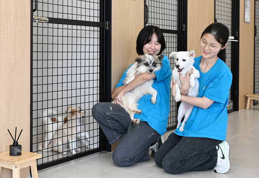 ▲ 유기견 안락사 제로(‘피스멍멍 입양센터’)ⓒ광주광역시 동구청 제공