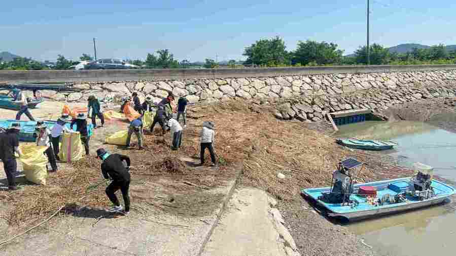 ▲ 해양쓰레기 수거ⓒ전라남도 제공