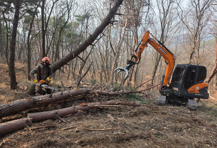 ▲ 대구 동구청이 소중한 산림 자원을 파괴하는 소나무재선충병의 확산을 막고 건강한 숲을 가꾸기 위한 대대적인 방제 작업에 나섰다.ⓒ대구 동구청