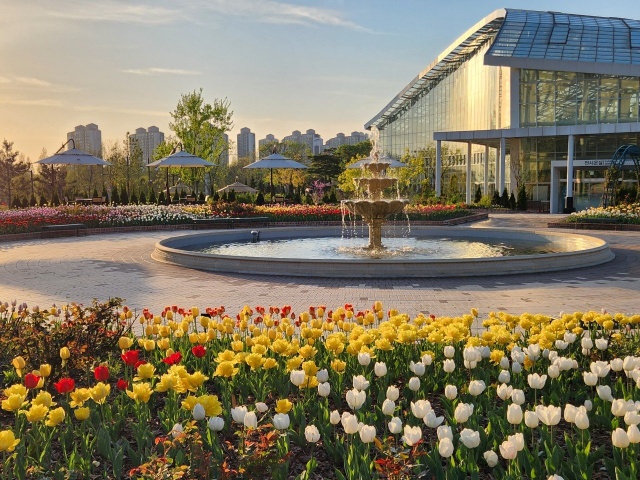 ▲ 수원 일월수목원 장식정원 전경. ⓒ수원시 제공