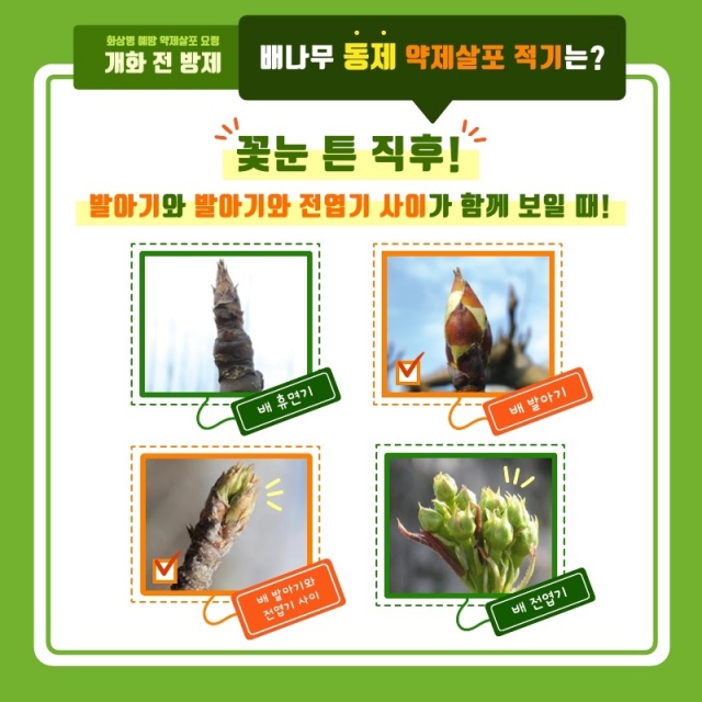 ▲ 배 개화 전 방제 안내문ⓒ화성시농업기술센터 제공