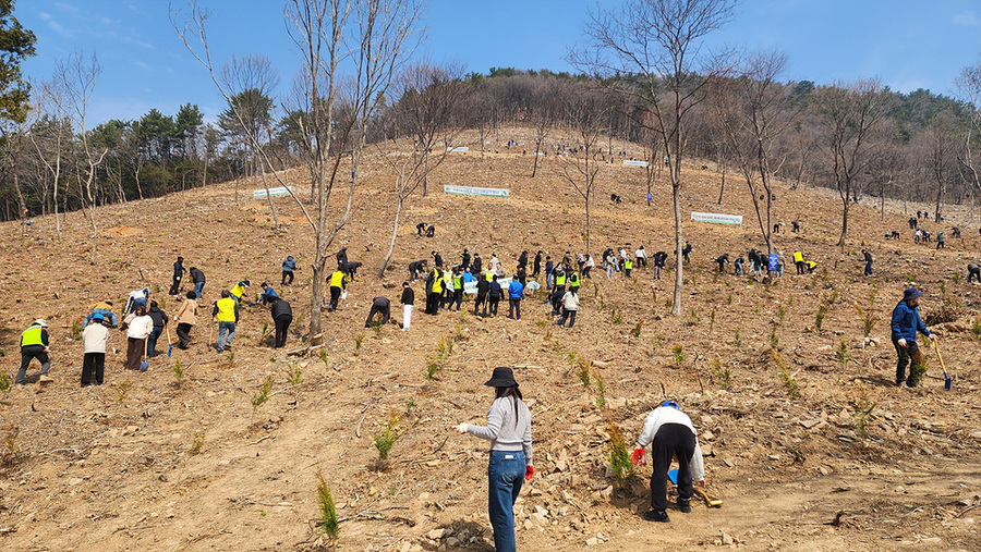 ▲ 여수시가 24일 묘도동 일원에서 제81회 식목일 기념 나무심기 행사를 개최했다.ⓒ여수시 제공