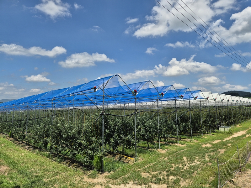 ▲ 충북 보은군 스마트 과수원. ⓒ보은군