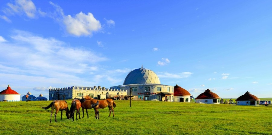 ▲ 몽골 수도 울란바타르 초원 모습.ⓒ교원투어