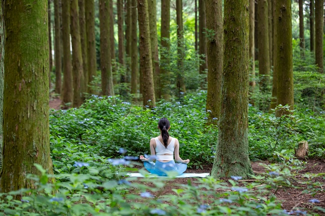 ▲ 웰니스 프로그램인 숲 체험. ⓒ강원랜드