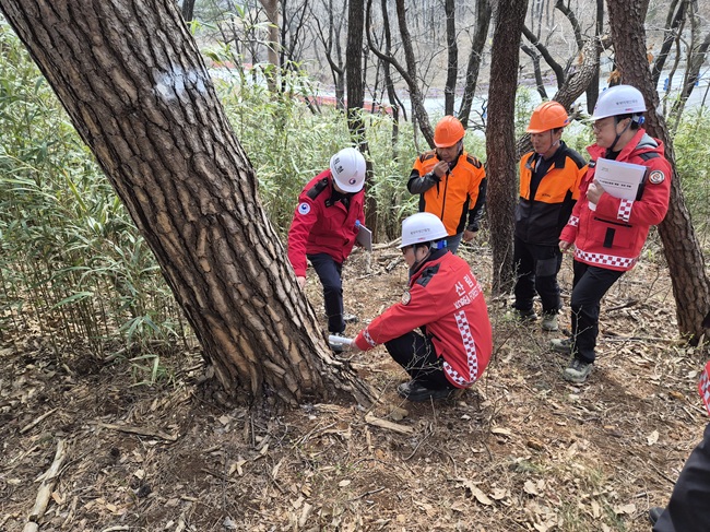 ▲ 최수천 동부지방산림청장이 소나무재선충병 예방나무주사 방제 품질을 점검하고 있다. ⓒ동부지방산림청