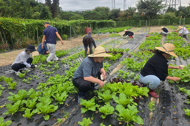▲ 친환경도시농업사 자격과정 운영 모습.ⓒ삼육대