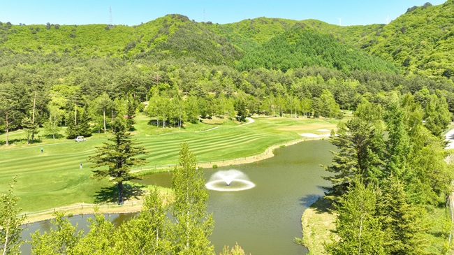 용평 버치힐CC, 25일 개장