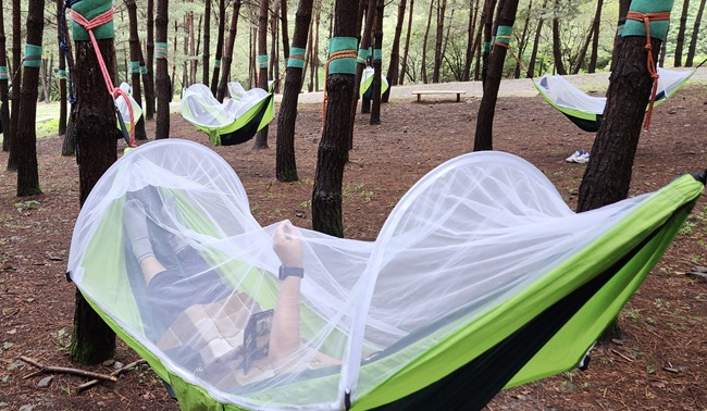 ▲ 강원랜드가 한국도박문제예방치유원, 산림힐링재단과 함께 영월 하이힐링원에서 '2026 체류형 치유캠프'를 개최했다. ⓒ강원랜드