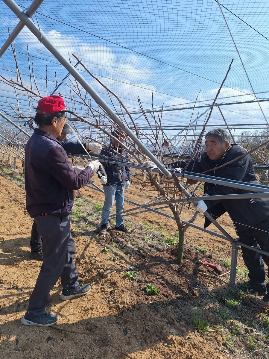 ▲ 함평군 농업기술센터 농업인상담소ⓒ함평군 제공