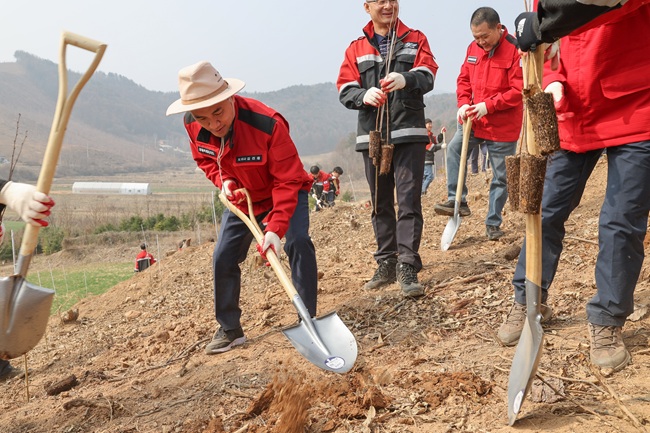 ▲ 김진태 도지사(사진 왼쪽 첫번째)가 식재하고 있는 모습. ⓒ강원특별자치도