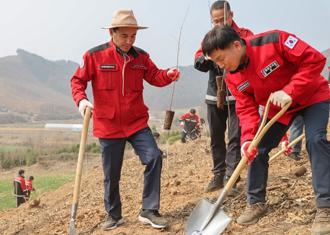 ▲ 김진태 도지사(사진 왼쪽 첫번째)가 식재하고 있는 모습. ⓒ강원특별자치도