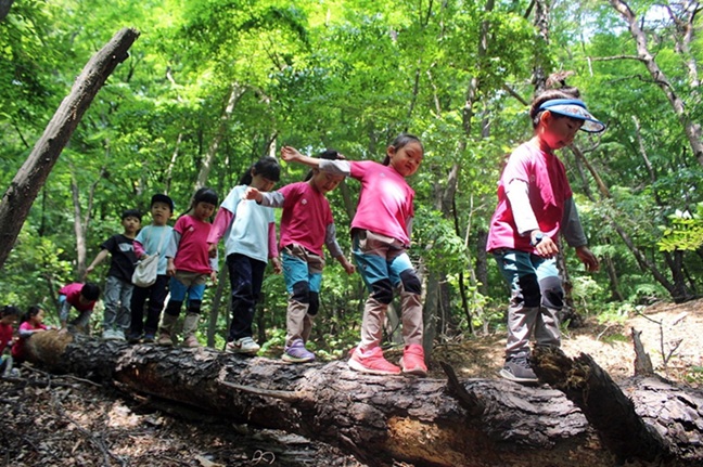 ▲ 숲 교육.ⓒ삼육대