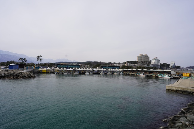 ▲ 속초 관내 항구 전경. ⓒ속초시