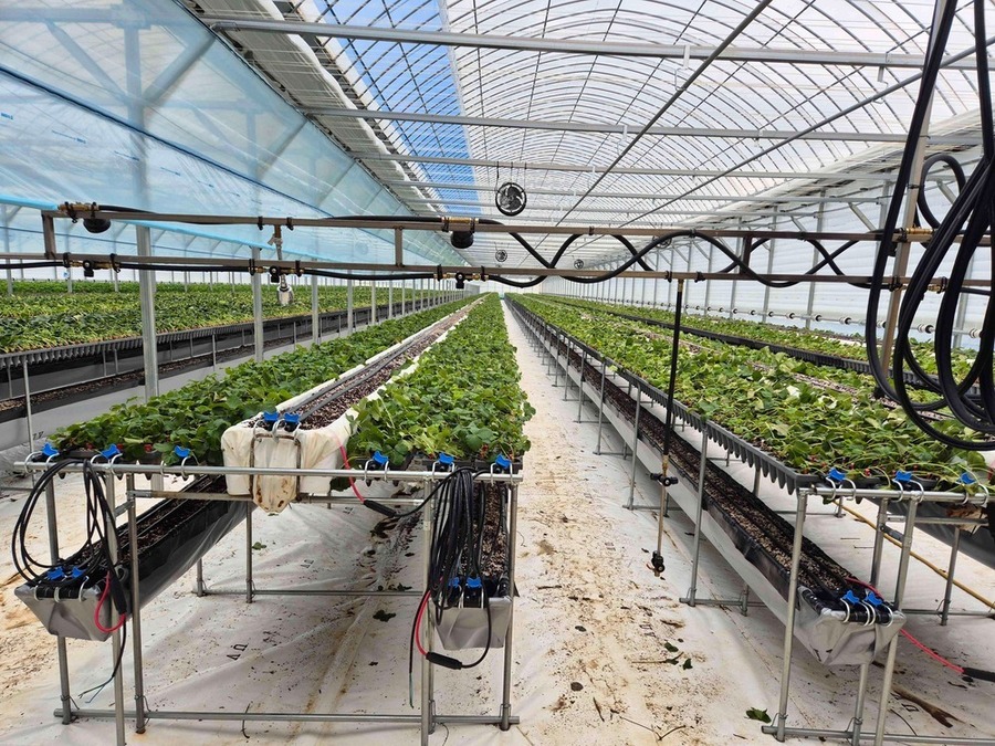 ▲ 친환경농업육성기금-하우스 운영자금ⓒ전라남도 제공