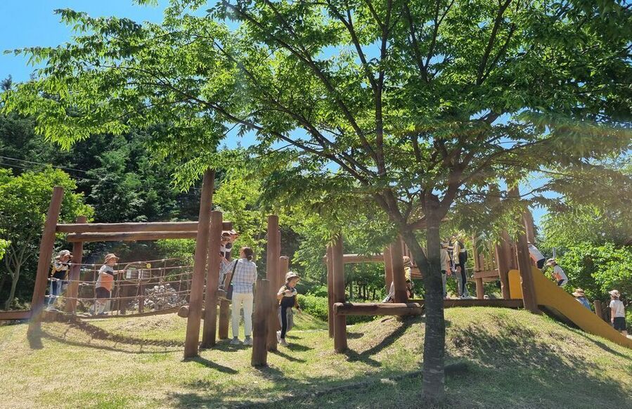 ▲ 장성공원 유아숲체험원ⓒ장성군 제공