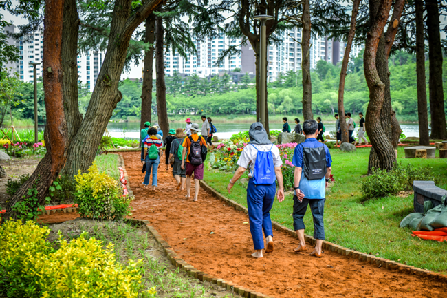 ▲ 영랑호 황톳길 걷기 체험. ⓒ강원특별자치도