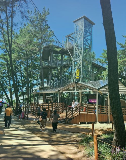 ▲ 장항스카이워크 모습.ⓒ서천군