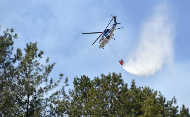 ▲ 지난 2023년 3월 화천읍 중리 일대에서 발생한 산불 현장에서 화천군 임차헬기가 진화에 나서고 있다. ⓒ화천군