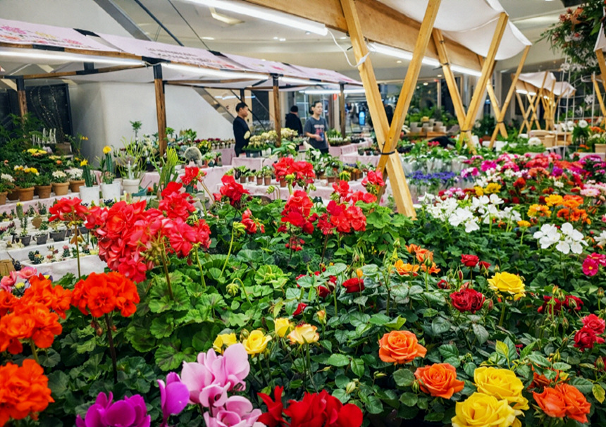 고양시, ‘고양愛 꽃피우다’ 플라워 팝업스토어 운영