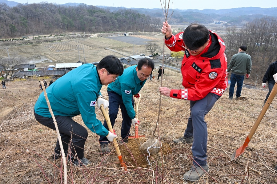 ▲ 영주시 장수면 화기리 일원에서 나무 심기를 하고 있다(왼쪽부터 손성호 시의원, 엄태현 영주시장 권한대행, 황병철 팀장).ⓒ영주시