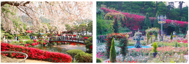 ▲ 지난해 봄꽃 축제 모습.ⓒ베어트리파크