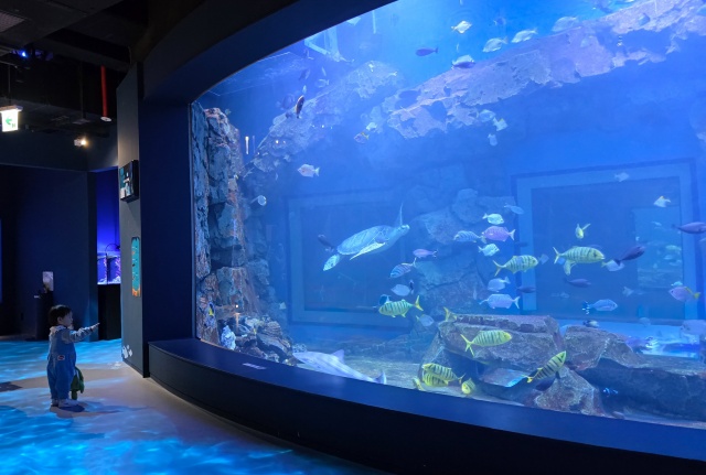 ▲ 도시에서 만나는 푸른 바다의 심장, ‘시흥 해양생태과학관’. ⓒ경기관광공사 제공
