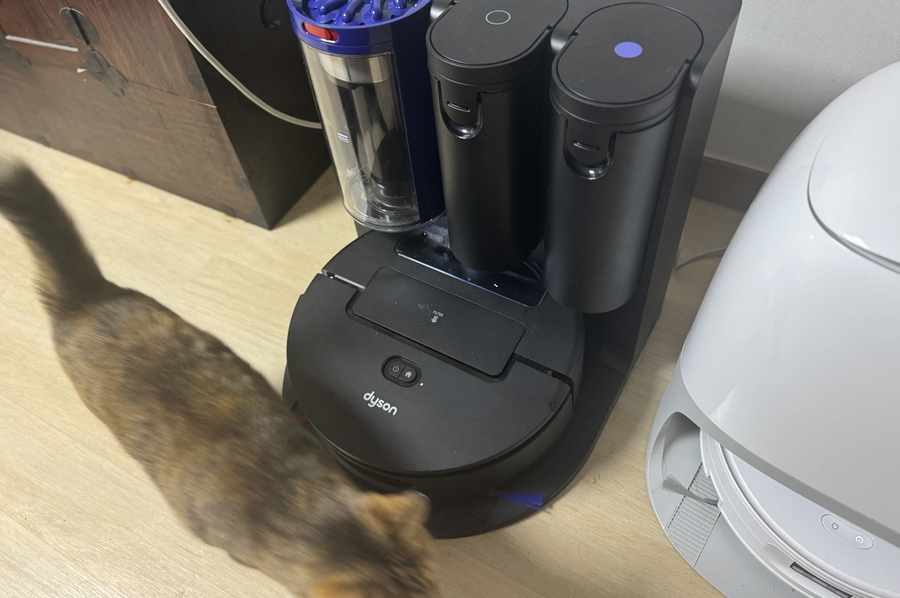 ▲ 두 제품 앞으로 고양이가 지나가는 모습. ⓒ김재홍 기자