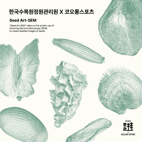 ▲ ⓒ코오롱스포츠