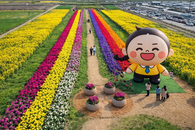 ▲ 지난해 열린 삼척맹방 유채꽃 축제 모습. ⓒ삼척시