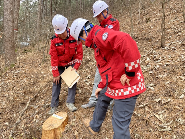 ▲ 북부지방산림청이 지난 1일 강원 홍천군 소재 소나무재선충병 방제사업장을 방문해 사업 추진상황과 안전관리 실태에 대한 현장점검을 실시했다. ⓒ북부지방산림청