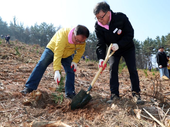 ▲ 지난 2일 태안군 원북면 대기리에서 열린 제81회 식목일 나무심기 행사에서 가세로 군수와 참가자들이 편백나무를 식재하고 있다.ⓒ태안군