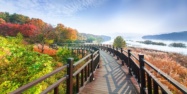 ▲ 금강로하스 대청공원.ⓒ대전시