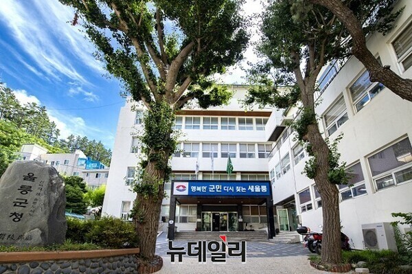 ▲ 울릉군이 지역의 미래인 청년 세대를 잡기 위해 파격적인 주거 지원책을 내놨다. 높은 물가와 주거비 부담으로 섬을 떠나는 청년들을 붙잡고 안정적인 정착을 돕기 위한 실질적인 ‘현금성 지원’ 카드다.ⓒ뉴데일리